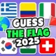 Flags Guess Game